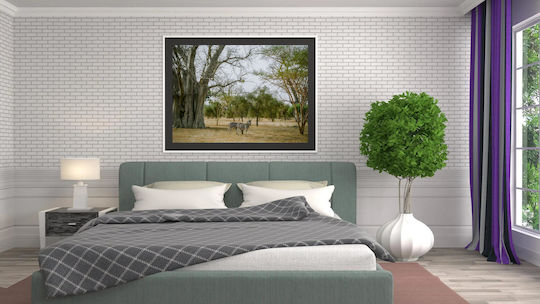 Zebras Under The Baobab Tree Ζέβρες Κάτω Από Το Δέντρο Baobab 1 σε Καμβά