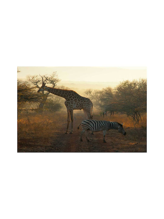 Πίνακας Giraffe Zebra In African Landscape Καμηλοπάρδαλη Ζέβρα Αφρικανικό Τοπίο 120x80