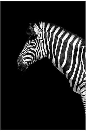 Панел Zebra В Черно Бяло Zebra В Черно Бяло 70x100
