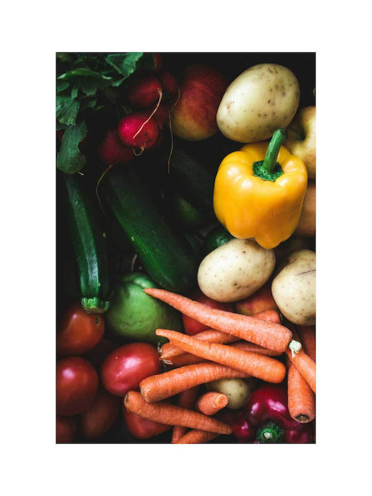 Painting Colorful Fresh Vegetables Multicolored Fresh Vegetables 70x100