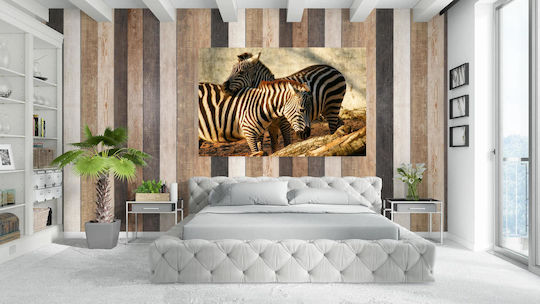 Zebras In Harmony Ζέβρες Σε Αρμονία