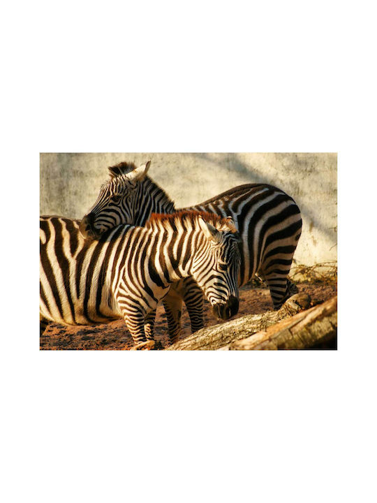 Painting Zebras In Harmony 100x70