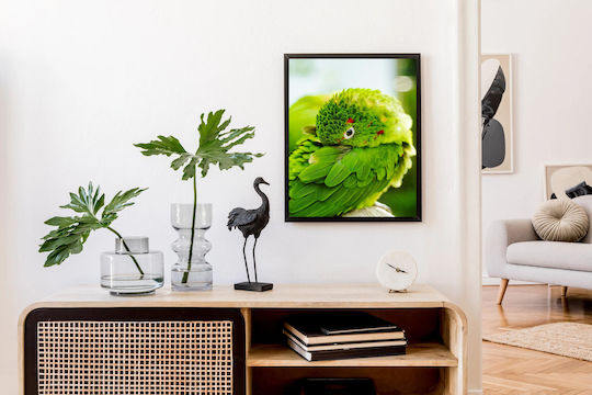 Πίνακας Colorful Parrot Close-up Πολύχρωμο Παπαγάλος Κινηματογράφηση Πρώτο Πλάνο 80x120
