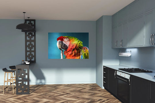 Πίνακας Colorful Parrot Close-up Πολύχρωμο Παπαγάλος Κινηματογράφηση Πρώτο Πλάνο 120x80