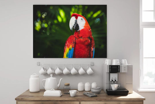 Панел Colorful Parrot In Nature Многоцветен Папагал В Природата 150x100