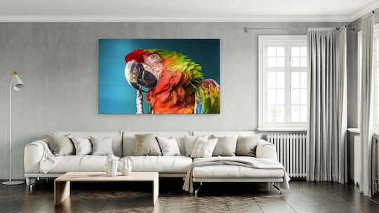 Πίνακας Colorful Parrot Close-up Πολύχρωμο Παπαγάλος Κινηματογράφηση Πρώτο Πλάνο 120x80