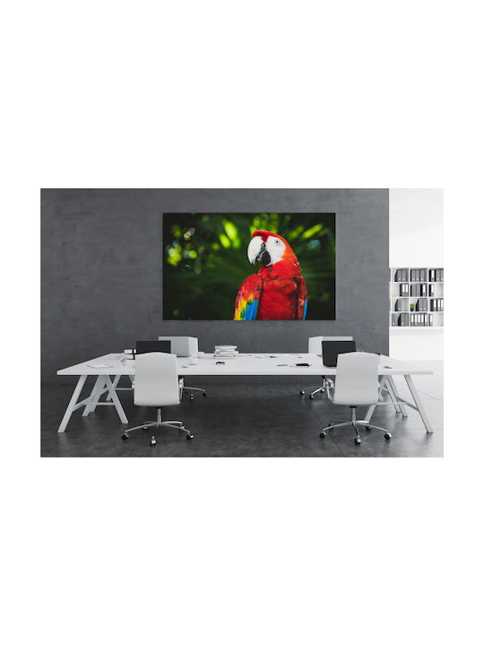 Панел Colorful Parrot In Nature Многоцветен Папагал В Природата 150x100