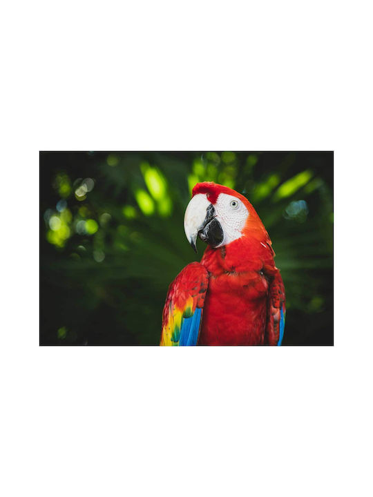 Панел Colorful Parrot In Nature Многоцветен Папагал В Природата 150x100