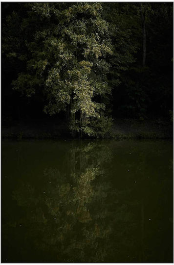 Painting Reflection Tree In Water Reflection Of The Tree In The Water 70x100