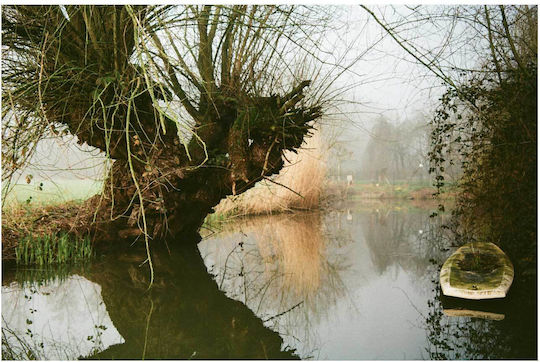 Painting Reflection An Old Tree By River Reflection Of An Old Tree Next To The River 100x70