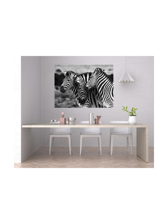 Панел Graceful Zebras В Черно И Бяло Хубави Зебри Черно-Бял 100x70