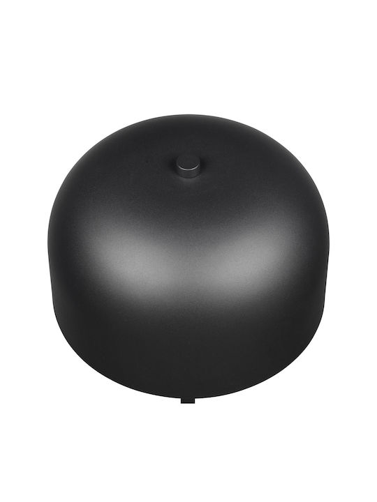 Trio Lighting LED Floor Lamp H147xW25cm. with Warm White Light 250lm Black