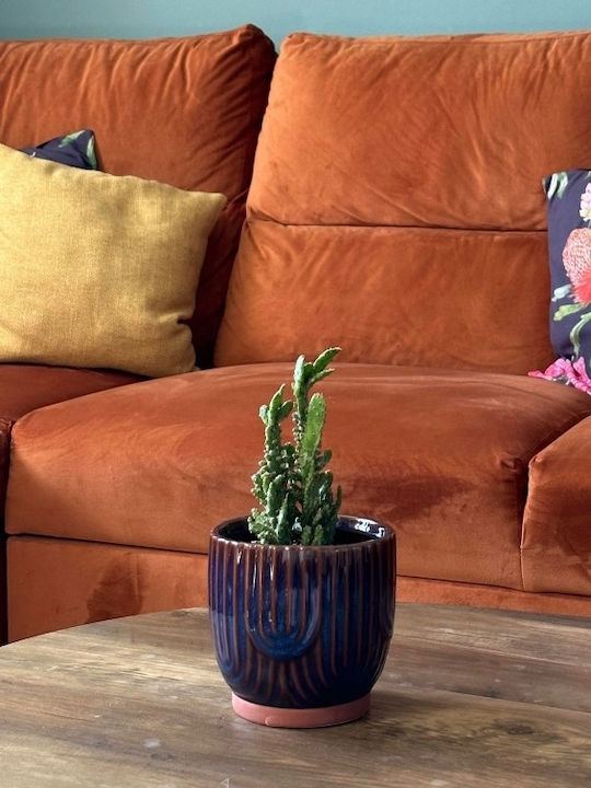 Polnix Planter Ceramic Blue 14x14x13cm.