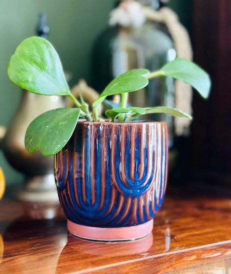 Polnix Plant Pot Ceramic Blue