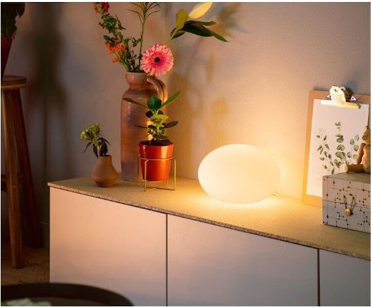 Philips Διακοσμητικό Φωτιστικό Flourish Hue E27