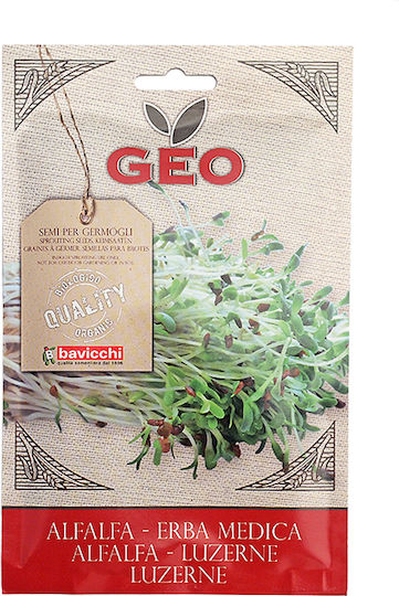 Άλφαλφα Medicago Sativa Φύτρα 40γρ Geo