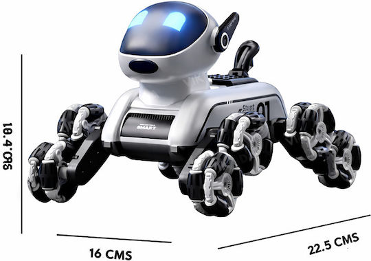 360° RC Robot
