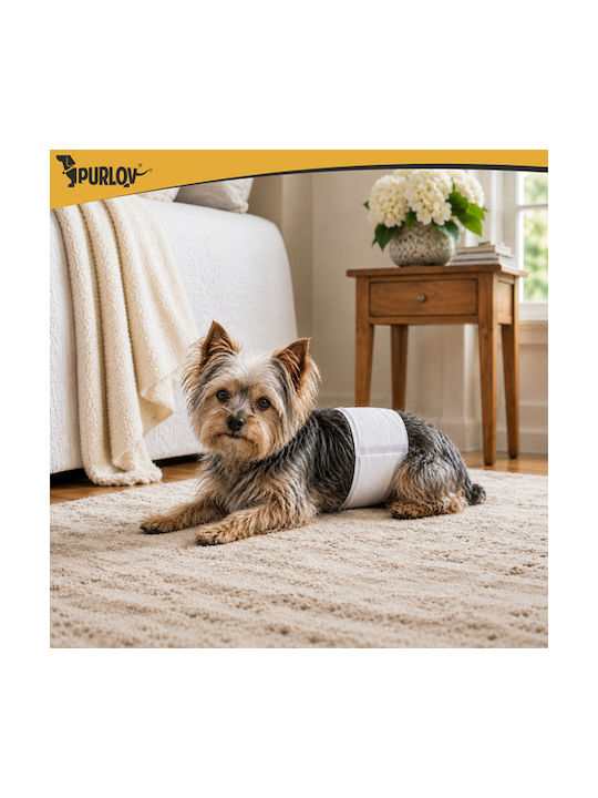 Purlov Fabric Dog Toy 1 Piece