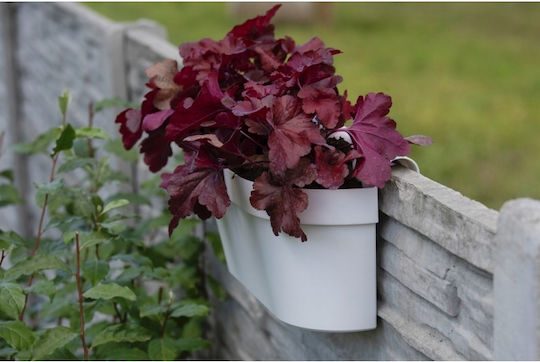 Weiße Kunststoff Balkonbox mit Griff Blumen Weiße Kunststoff Balkonbox mit Griff Blumen