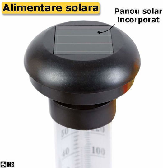 Set of 2 Solar Light Flowers