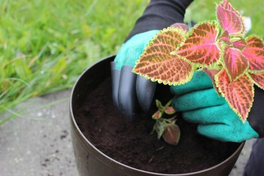 Gardenline Gardenline Sicherheitshandschuhe