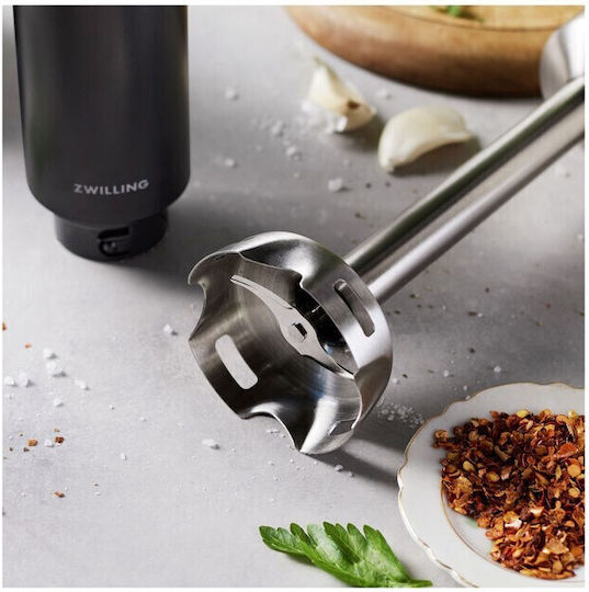 Zwilling J.A. Henckels Ραβδομπλέντερ με Ανοξείδωτη Ράβδο 250W Μαύρο