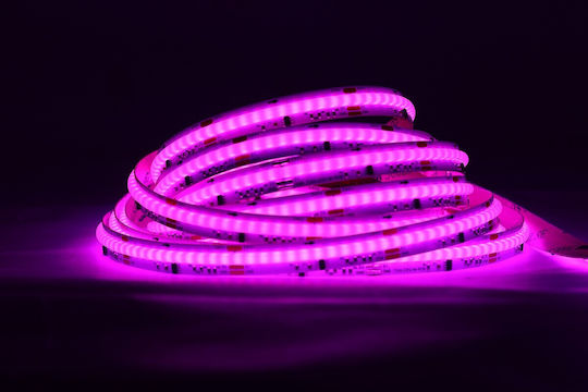VK Lighting Smart LED Strip Wi-Fi 24V RGB Light 10m COB Type