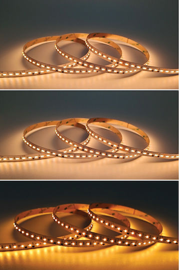 VK Lighting Smart LED Strip Wi-Fi 24V Adjustable White Light 5m
