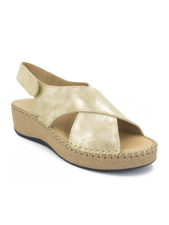 Anatomic Summer Women's Gold Platforms