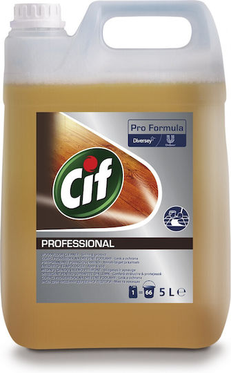 Alista Home Detergent Lichid Profesional pentru Podea cu Acțiune Dezinfectantă 5l