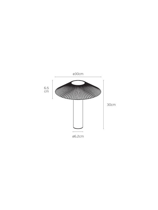 Καφέ 3000k 15w 1752lm Ac220-240v 85° Led Bridgelux Driver Eaglerise 50.000hrs Dim No -20°c → 45°c Cri>90 Γκαζόν Cri>90 30cm Αλουμίνιο + Pc Ip65 Vk 02281 Br W 30 75169-014776