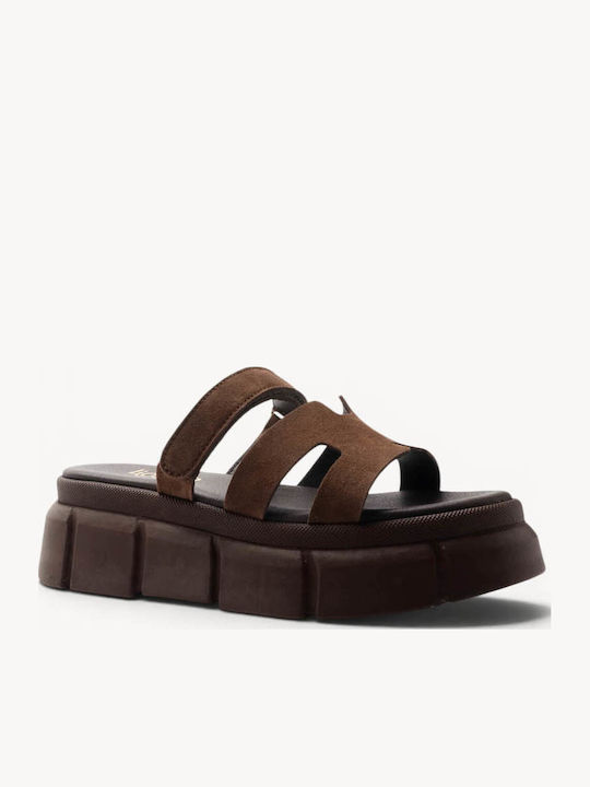 Ligglo V263