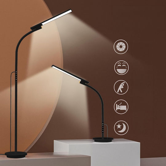 Floor Lamp Black