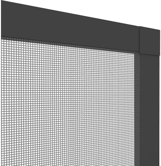 Easy-Life Window Mosquito Net With Screws Made of Gray Aluminum With Frame 150x130cm