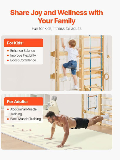 Vevor Slide with Climbing Surface