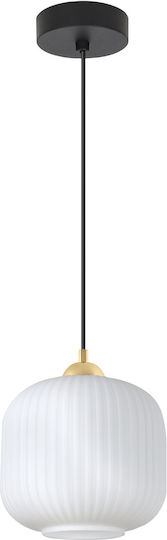 Light Home Pendant Ceiling Light Black with E27 Socket