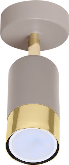 Light Home Spot With GU10 Lamp Adapter In Gold Colour