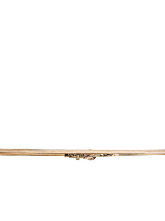Celestino Women's Metallic Elastic Gold Belt