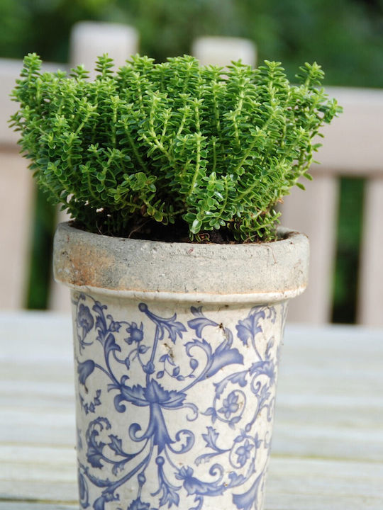 Esschert Design Keramischer Pflanzentopf Blau 13x16cm
