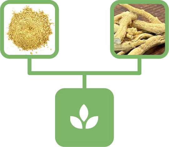 Agrest Ginger Orange 50gr