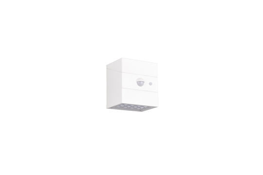Trio Lighting Wandmontiertes Außenbeleuchtung LED Mit Einstellbarem Weißem Licht 8.8x7.4x9.5cm
