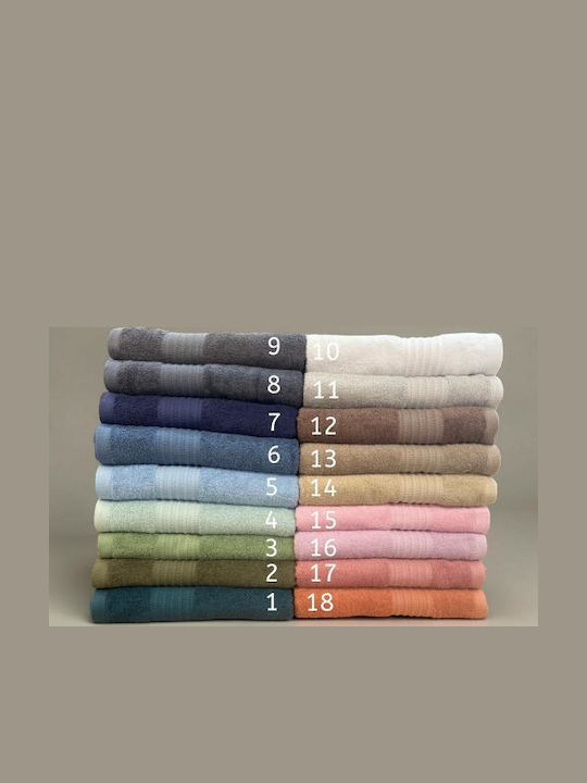 Linea Home Monde 50x90cm Bath Towel with Weight 480gsm