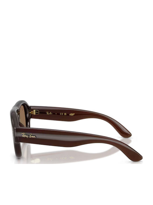 Ray Ban Γυαλιά Ηλίου με Κοκκάλινο Σκελετό