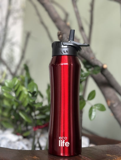 Ecolife Ανακυκλώσιμο Μπουκάλι Θερμός Ανοξείδωτο BPA Free 550ml THERMOS με Καλαμάκι
