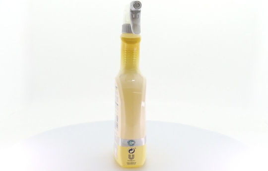 Klinex 4 σε 1 Καθαριστικό Spray Γενικής Χρήσης με Απολυμαντική Δράση Λεμόνι 750ml