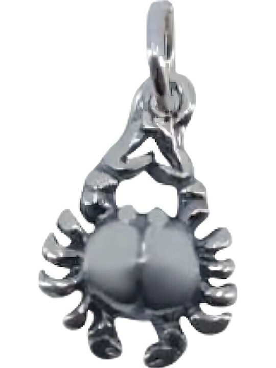 Handy Charm Semn Zodiacal Rac din Argint