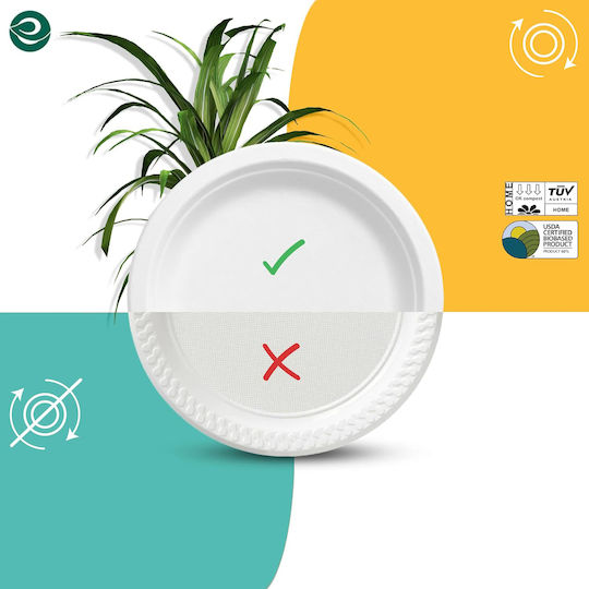 Χάρτινα Πιάτα 15 Cm Κομποστοποιήσιμα Eco Soul 1000 Τεμάχια Μιας Χρήσης Λευκά