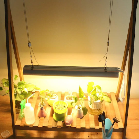 Alista Home Grow Light cu LED