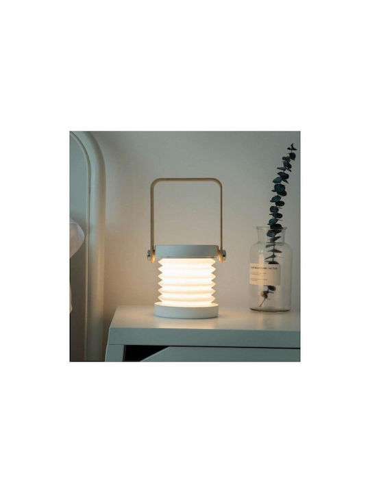 Allocacoc Διακοσμητικό Φωτιστικό LED 15x9x21εκ.