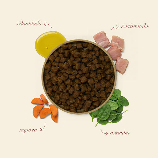 Ethelia Healthy Dogs for Adult & Puppies 1.5kg Ξηρά Τροφή για Ενήλικους Σκύλους με Κοτόπουλο, Χοιρινό και Ψάρια